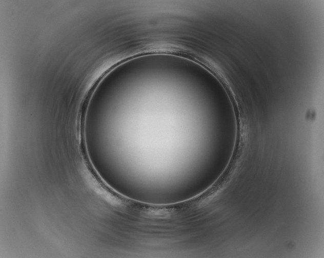 X0000111810843200907231232