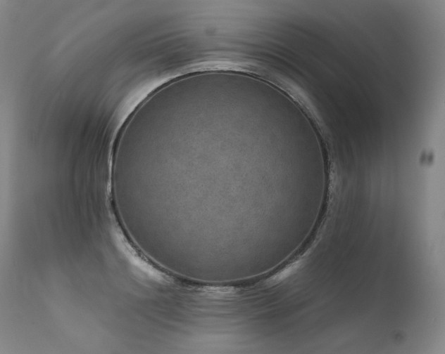 X0000111810844200907231232