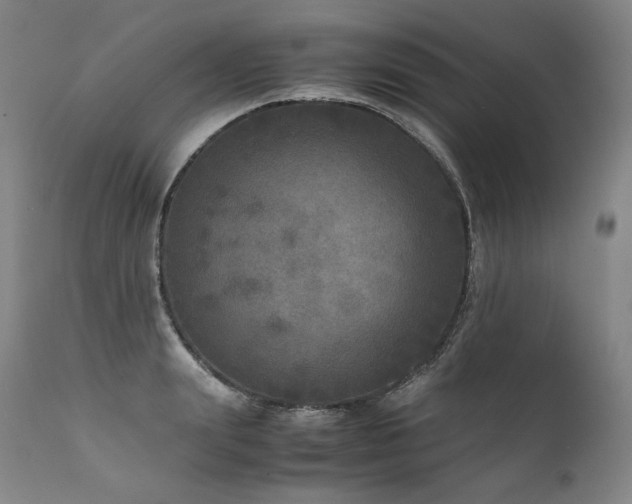 X0000111810847200907231233