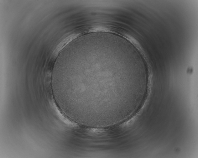 X0000111810849200907231233