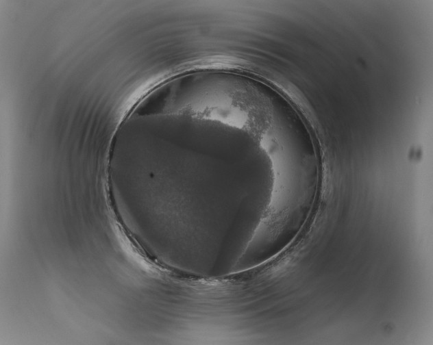 X0000111810850200907231233