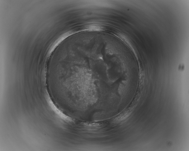 X0000111810851200907231233