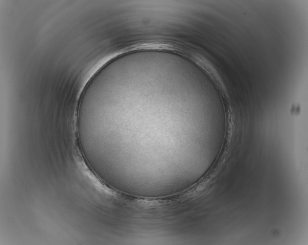 X0000111810852200907231233