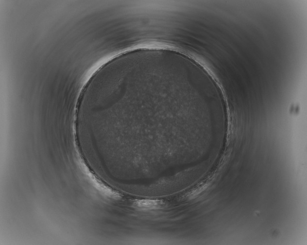 X0000111810853200907231233