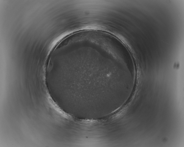 X0000111810854200907231233