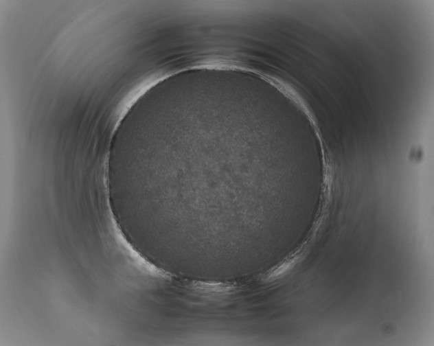 X0000111810855200907231233