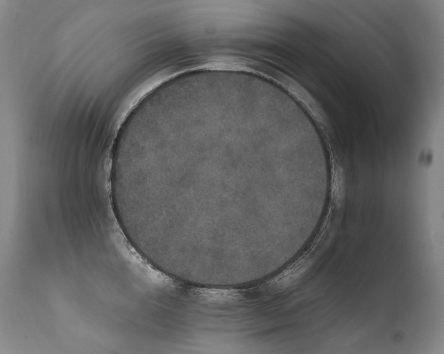 X0000111810856200907231233
