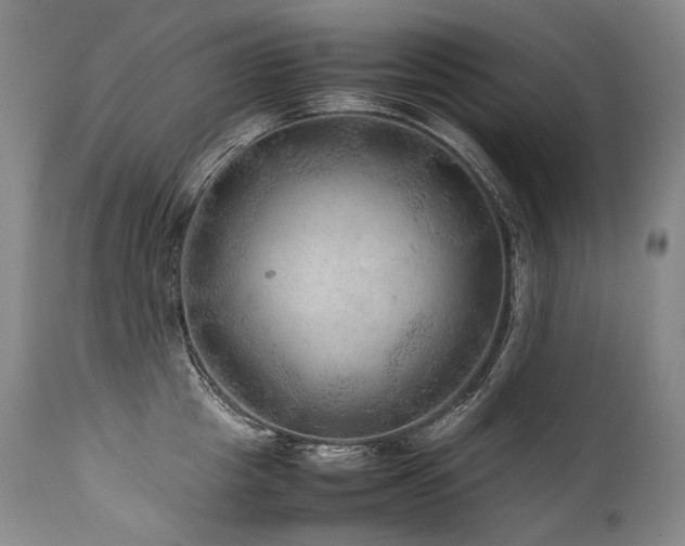 X0000111810857200907231233