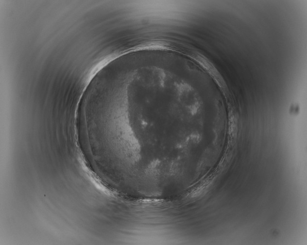 X0000111810858200907231233