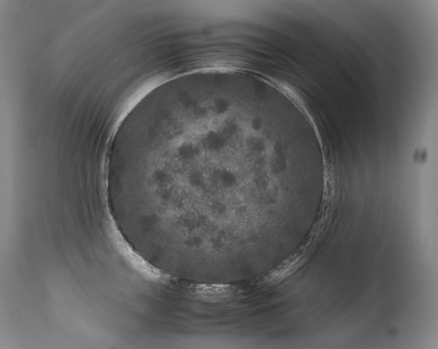X0000111810859200907231233