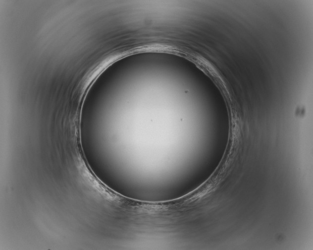 X0000111810860200907231233