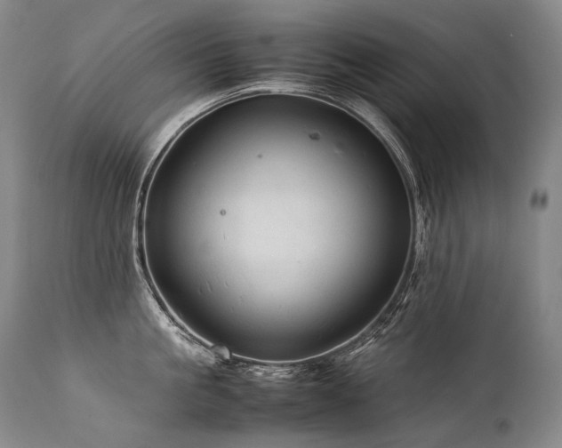X0000111810861200907231233
