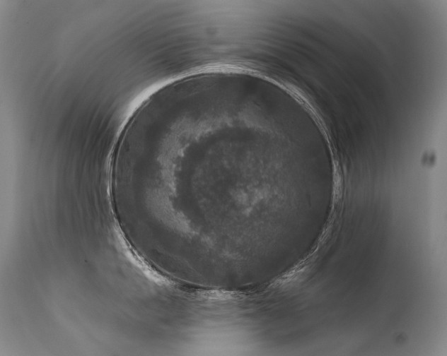X0000111810862200907231233