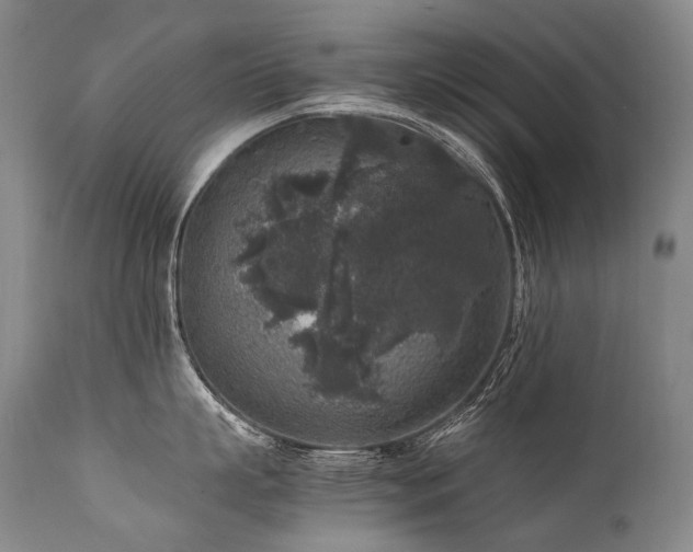 X0000111810863200907231233