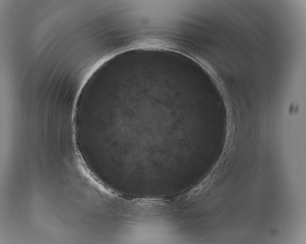 X0000111810864200907231233
