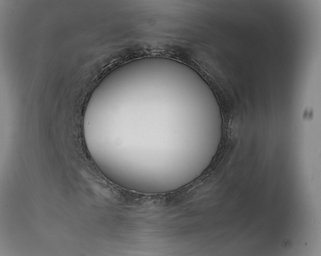 X0000111810865200907231232