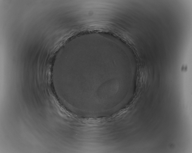 X0000111810868200907231232