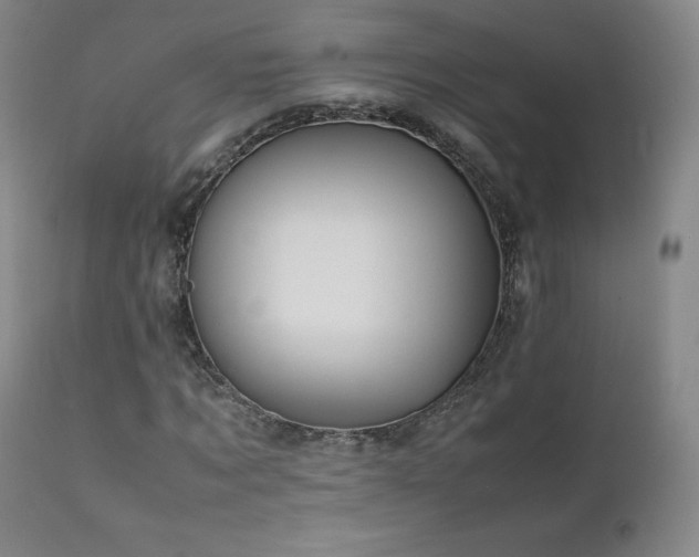 X0000111810869200907231232