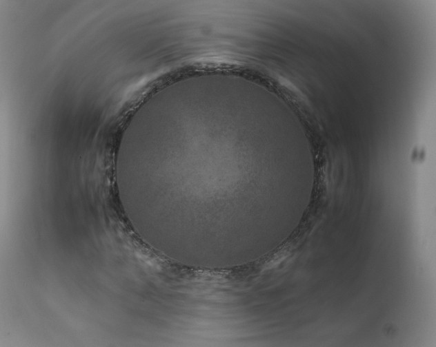 X0000111810870200907231232