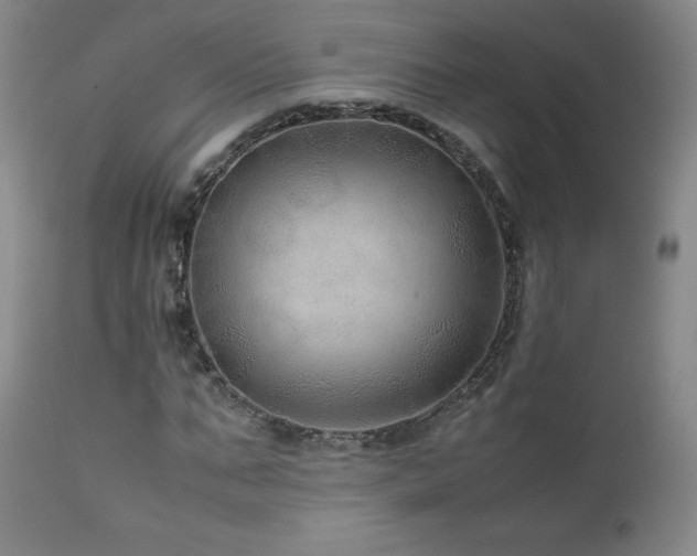 X0000111810871200907231232