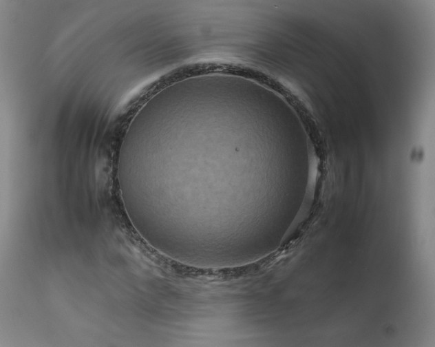 X0000111810872200907231232