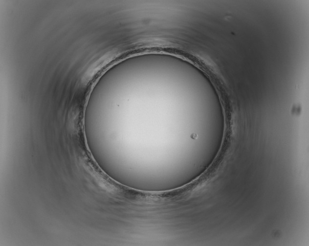 X0000111810873200907231232