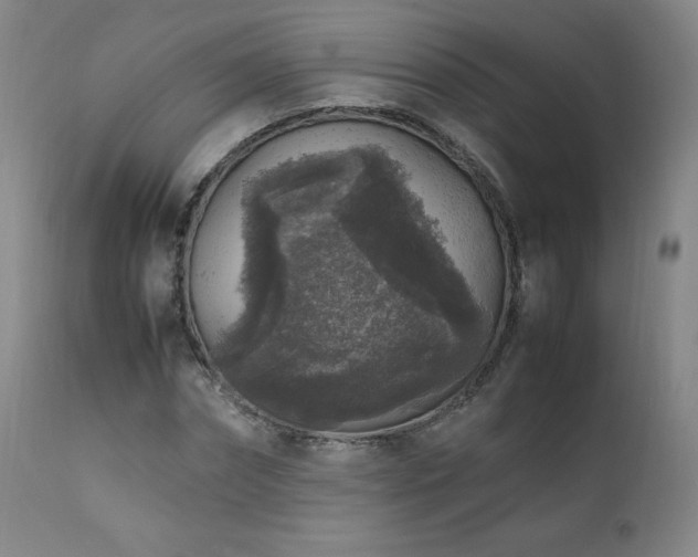 X0000111810874200907231232