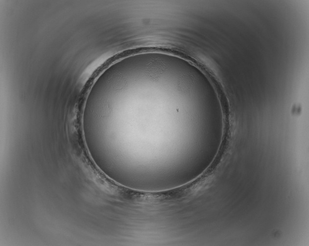 X0000111810875200907231232