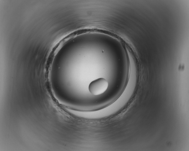 X0000111810876200907231232