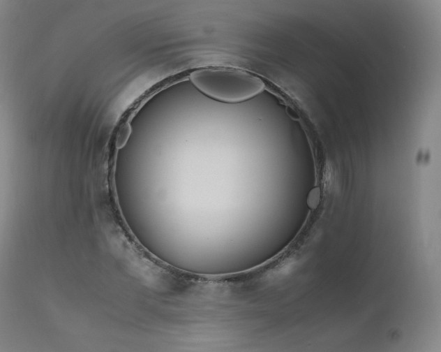 X0000111810877200907231232