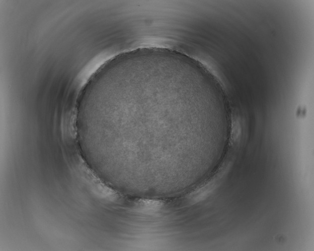 X0000111810878200907231232