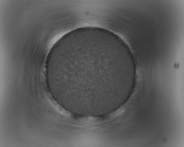 X0000111810879200907231232