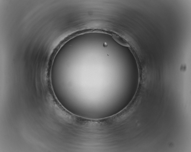 X0000111810880200907231232