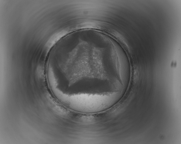 X0000111810882200907231232