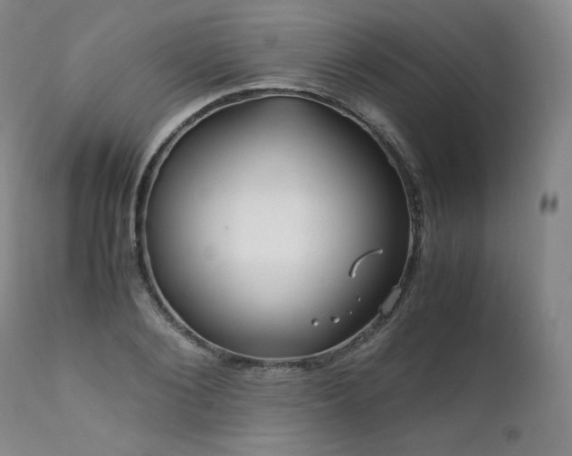 X0000111810884200907231232