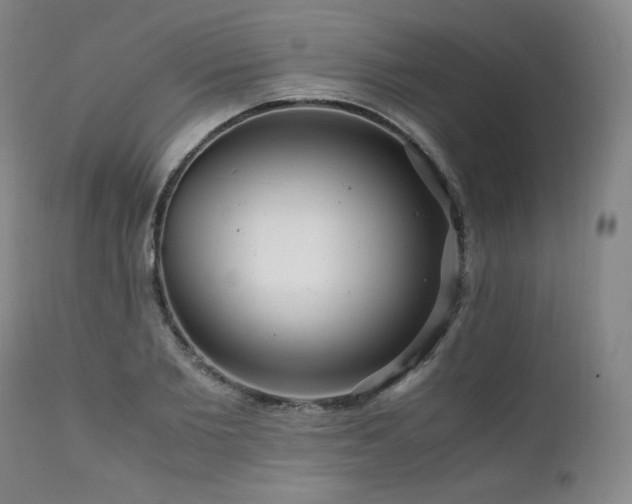 X0000111810885200907231232