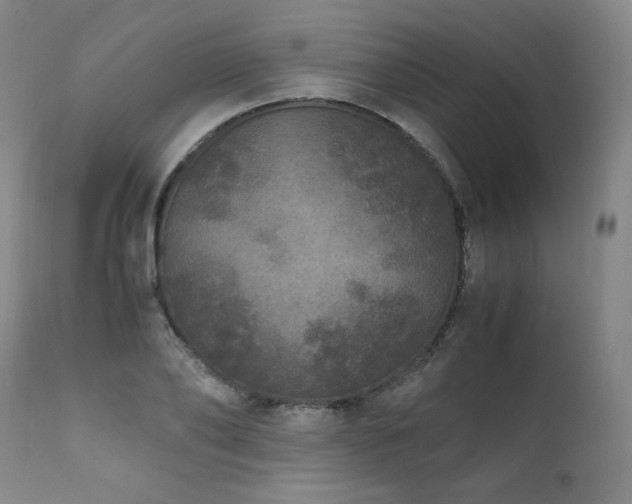 X0000111810886200907231232