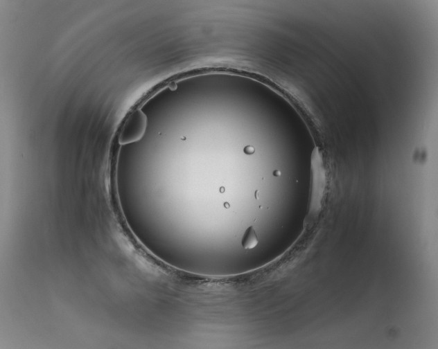 X0000111810888200907231232