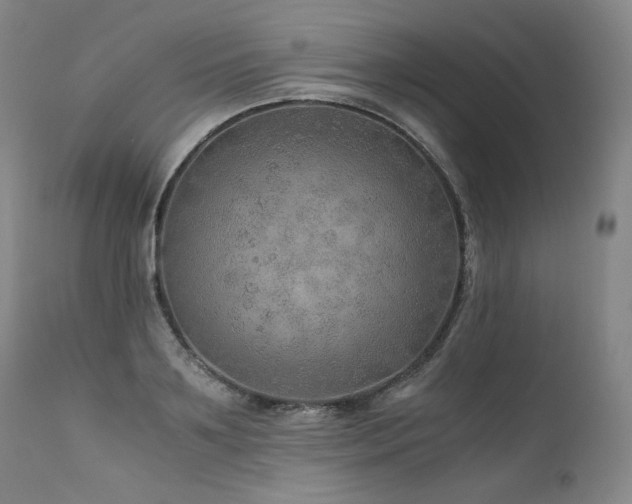 X0000111810891200907231232
