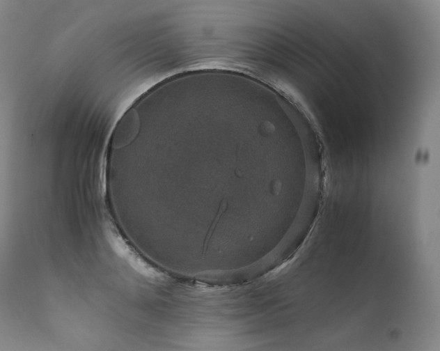 X0000111810892200907231232