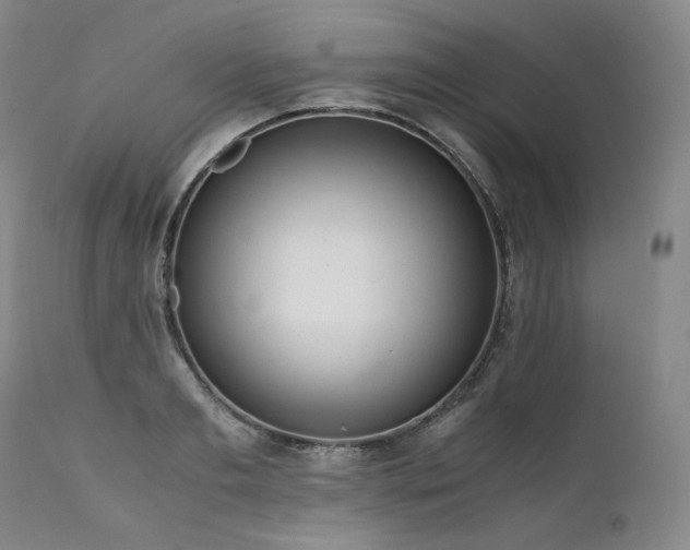 X0000111810893200907231232