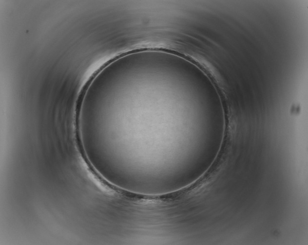 X0000111810894200907231232
