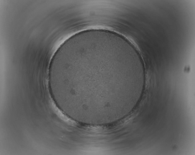 X0000111810895200907231231