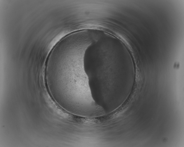 X0000111810899200907231231