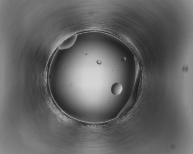 X0000111810900200907231231