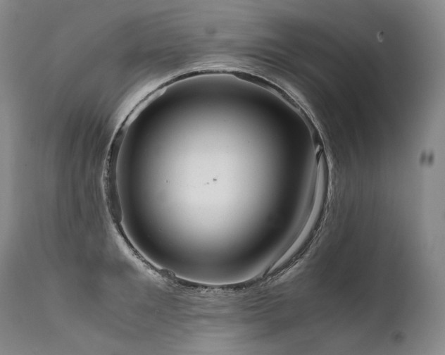 X0000111810901200907231231