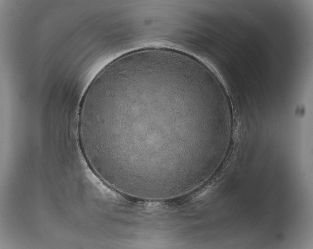 X0000111810903200907231231