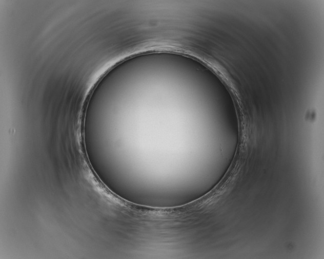 X0000111810904200907231231