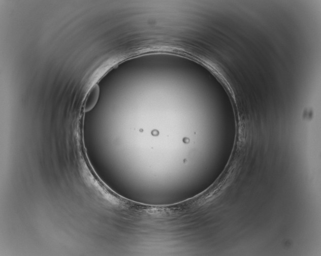 X0000111810906200907231231