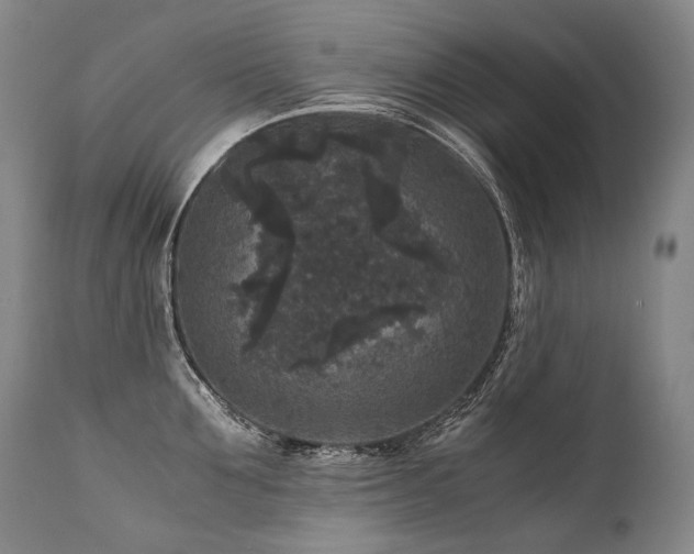 X0000111810907200907231231